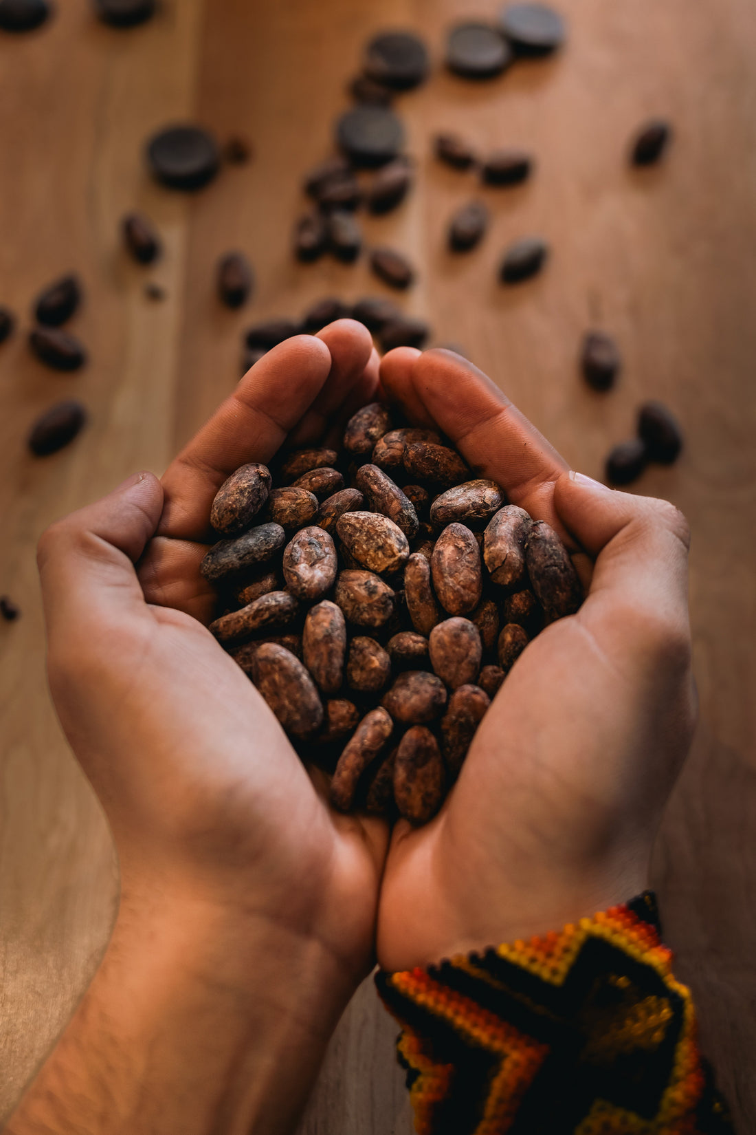 Cacao Antioxidante