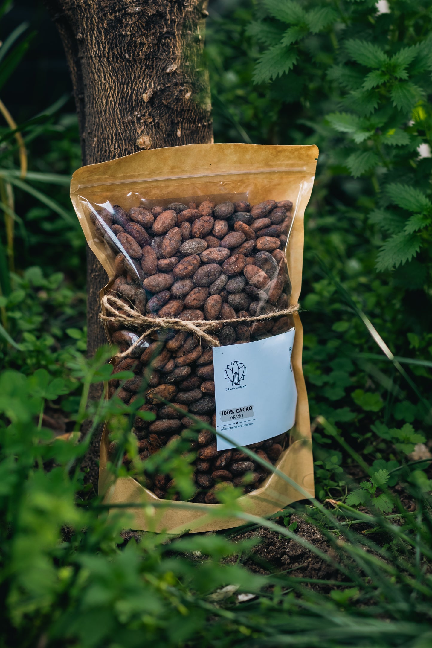 Cacao en Grano - Cacao Andino