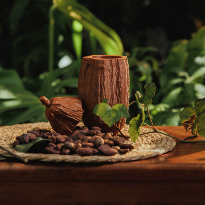 Mazorca de Cacao Cafe