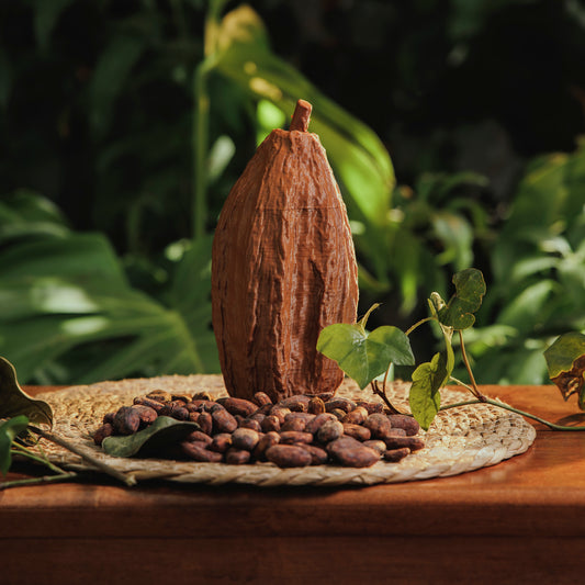Mazorca de Cacao Cafe