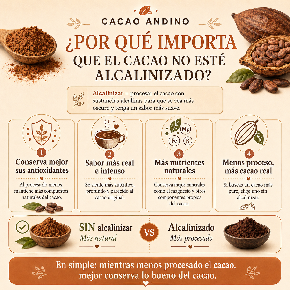 Cacao en Polvo 100% Sin Alcalinizar