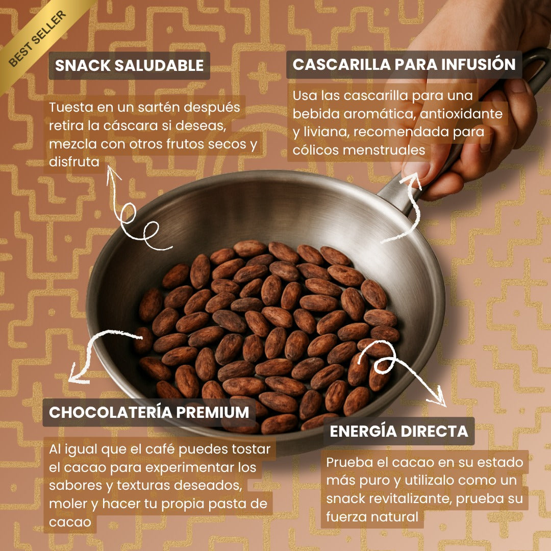 Cacao en Grano 100% Puro